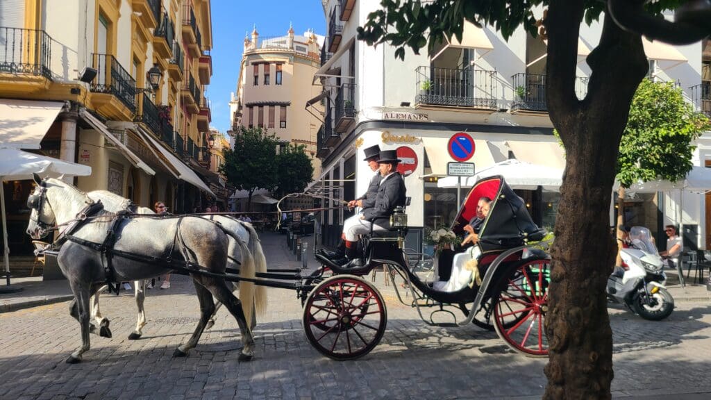 Newlyweds in a horse and carriage in Seville Spain