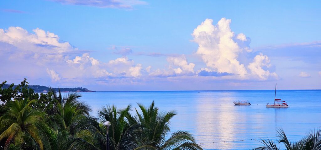 Treetop views overlooking the Caribbean Sea on Negril Beach, Jamaica