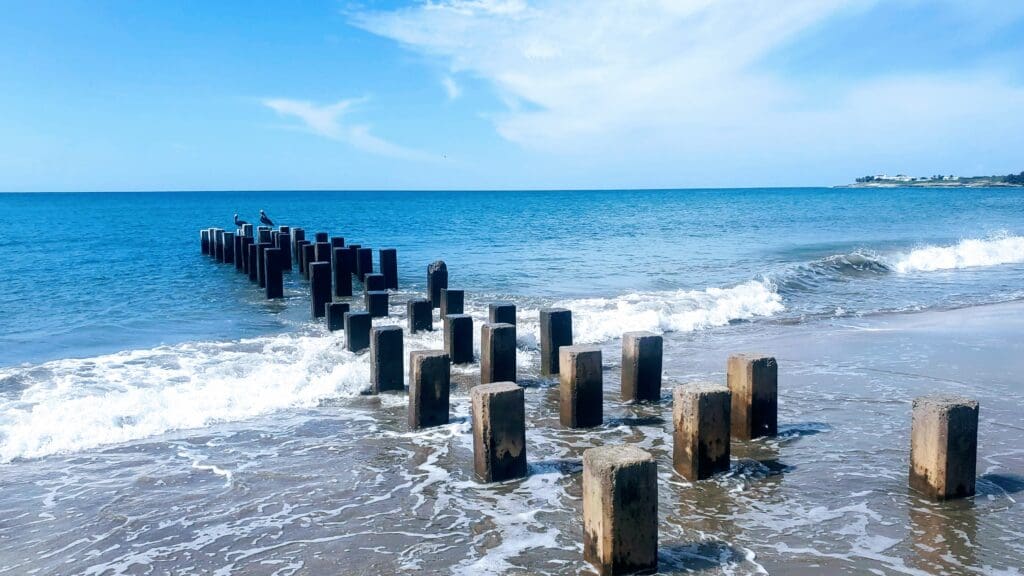 weathered old pier stums jutting ur of the ocean in Treasure Beach, Jamaica