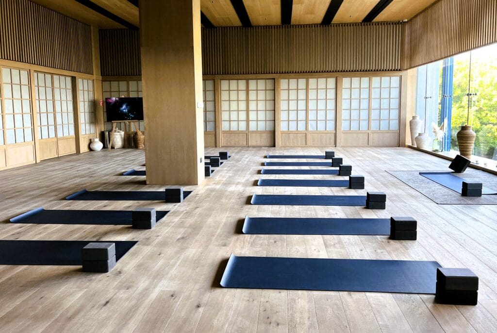 Yoga mats and blocks lined up in neat rows at Palmaia the House of Aia.