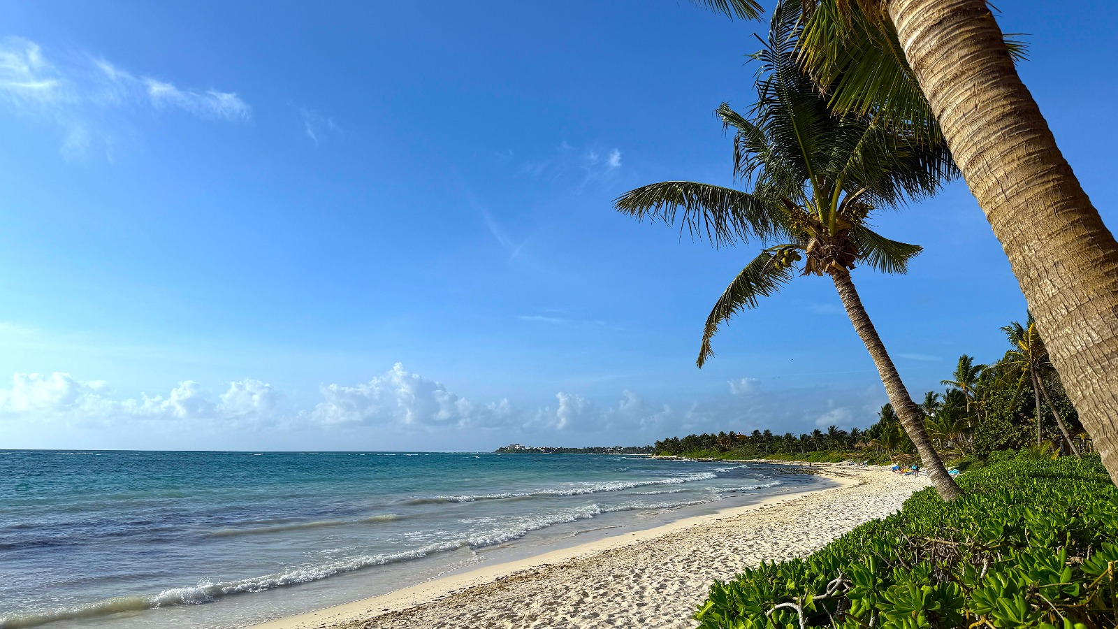 Serene views from Akumal Beach with palm trees, sand and clear skies.