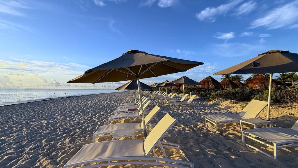beach loungers and umbrellas in front of calm ocean waters