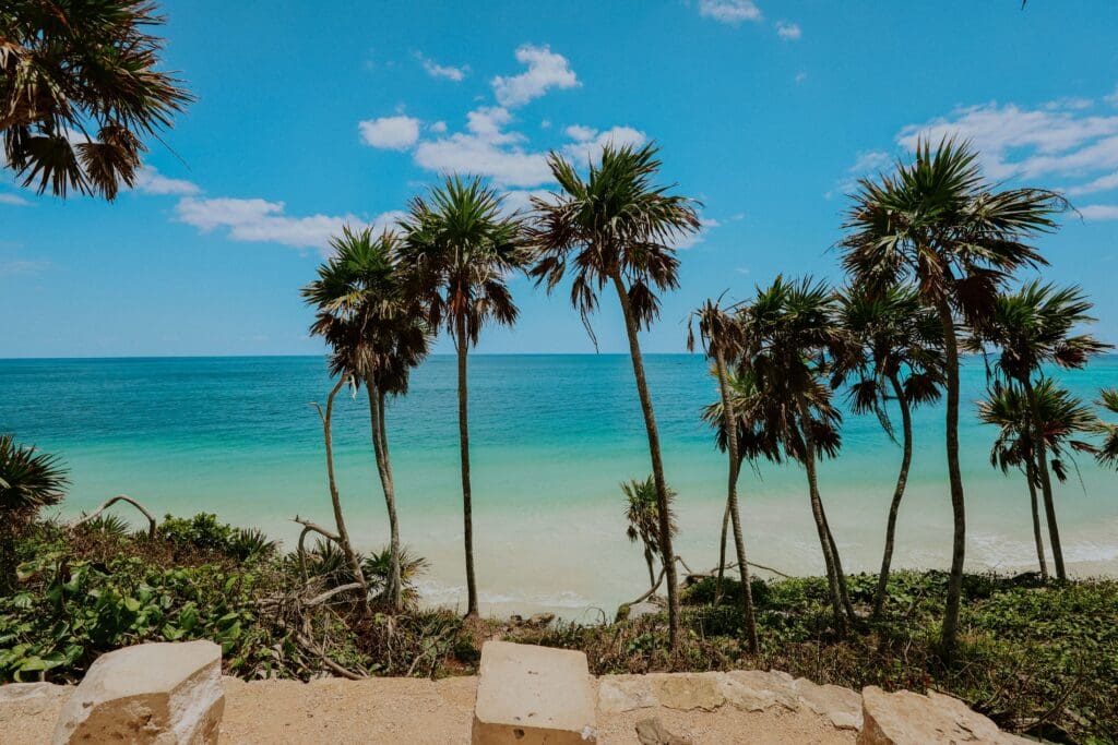 Scenic view of Tulum beach with palm trees and turquoise sea under clear skies.